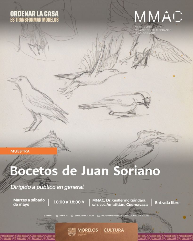 Bocetos de Juan Soriano en la Biblioteca del MMAC